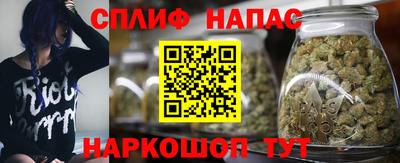 прущие крисы Славянск-на-Кубани