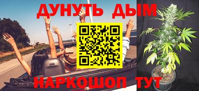 тгк Славгород