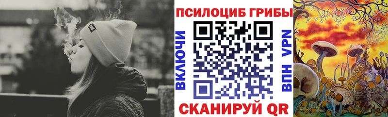 Псилоцибиновые грибы прущие грибы  Находка 