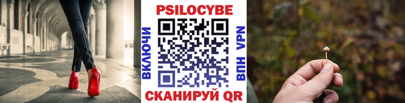 Псилоцибиновые грибы Psilocybine cubensis Находка