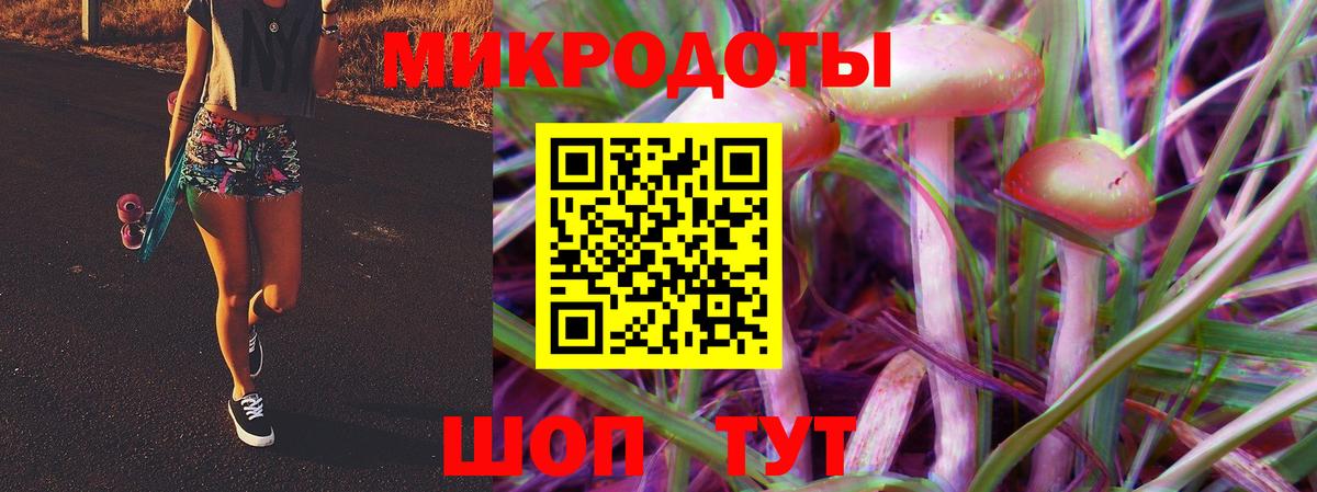 Галлюциногенные грибы Psilocybine cubensis  Вход с VPN  Находка 