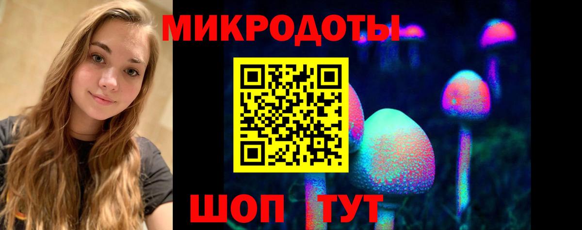 Галлюциногенные грибы Psilocybine cubensis Находка
